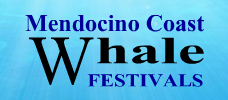 Mendocino Coast Whale Festivals